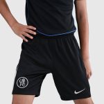 Chelsea Stores – Best Selection of chelsea nike third stadium shorts 2025-26 – youth Chelsea Gear